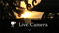Live Camera
